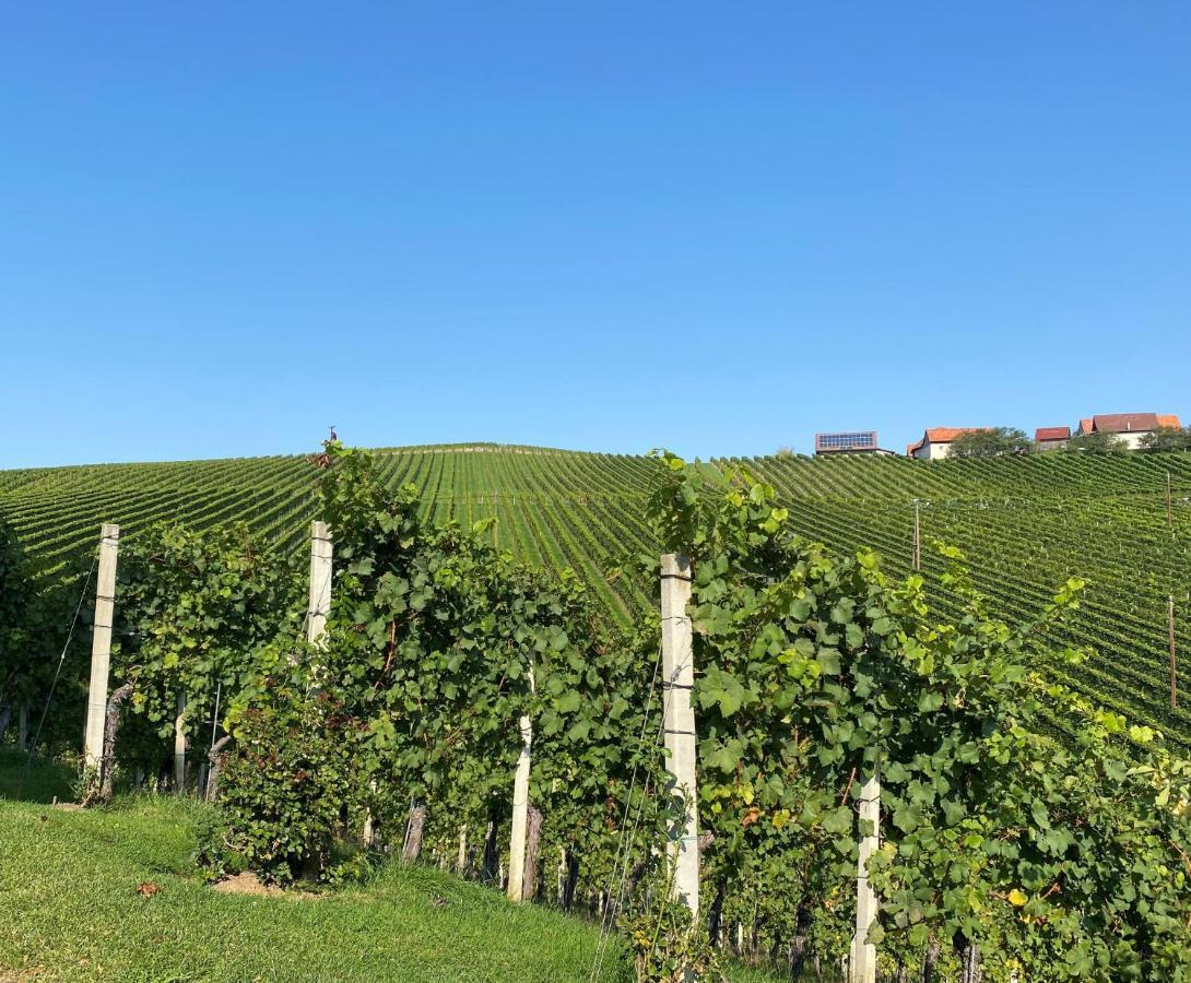 Wein Kultur Apartment Flavia Solva Wagna Eksteriør bilde