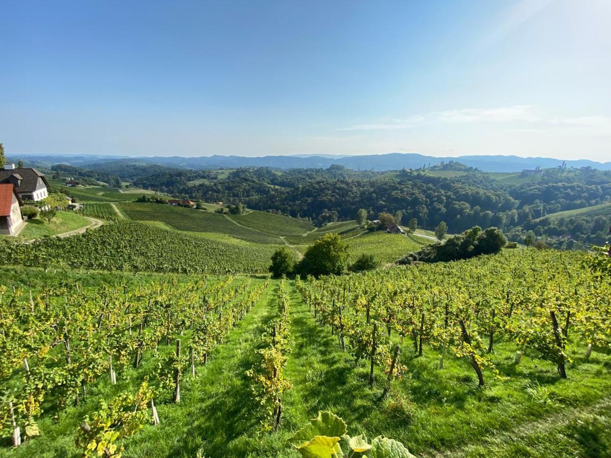 Wein Kultur Apartment Flavia Solva Wagna Eksteriør bilde